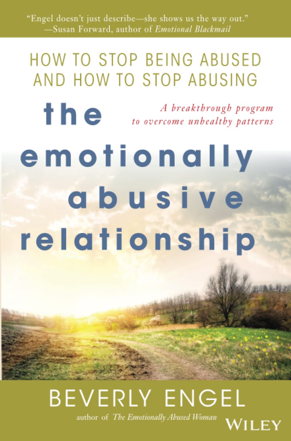 The Emotionally Abusive Relationship: How to Stop Being Abused and How to Stop Abusing book
