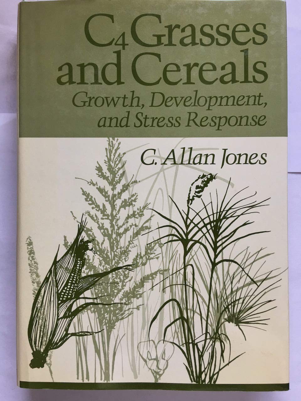 C4 Grasses and Cereals: Growth, Development and Stress Response Natural Sciences