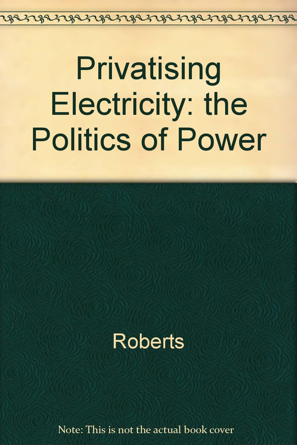 Privatising Electricity: the Politics of Power Business, Finance & Career