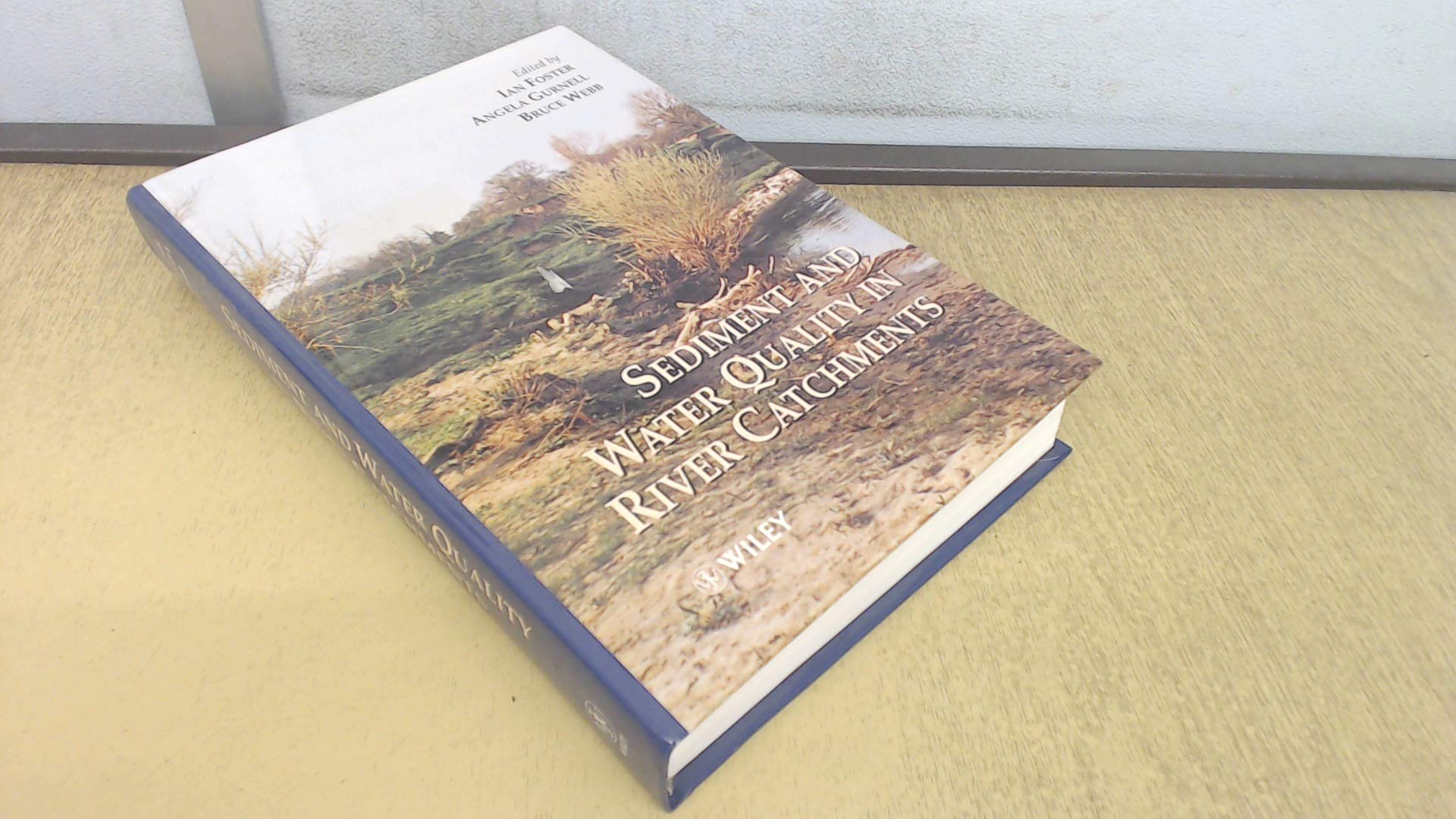 Sediment and Water Quality in River Catchments Mathematics