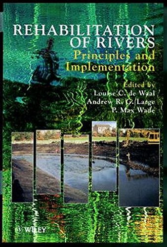 Rehabilitation of Rivers: Principles and Implementation (Landscape Ecology Series) Business & Technology