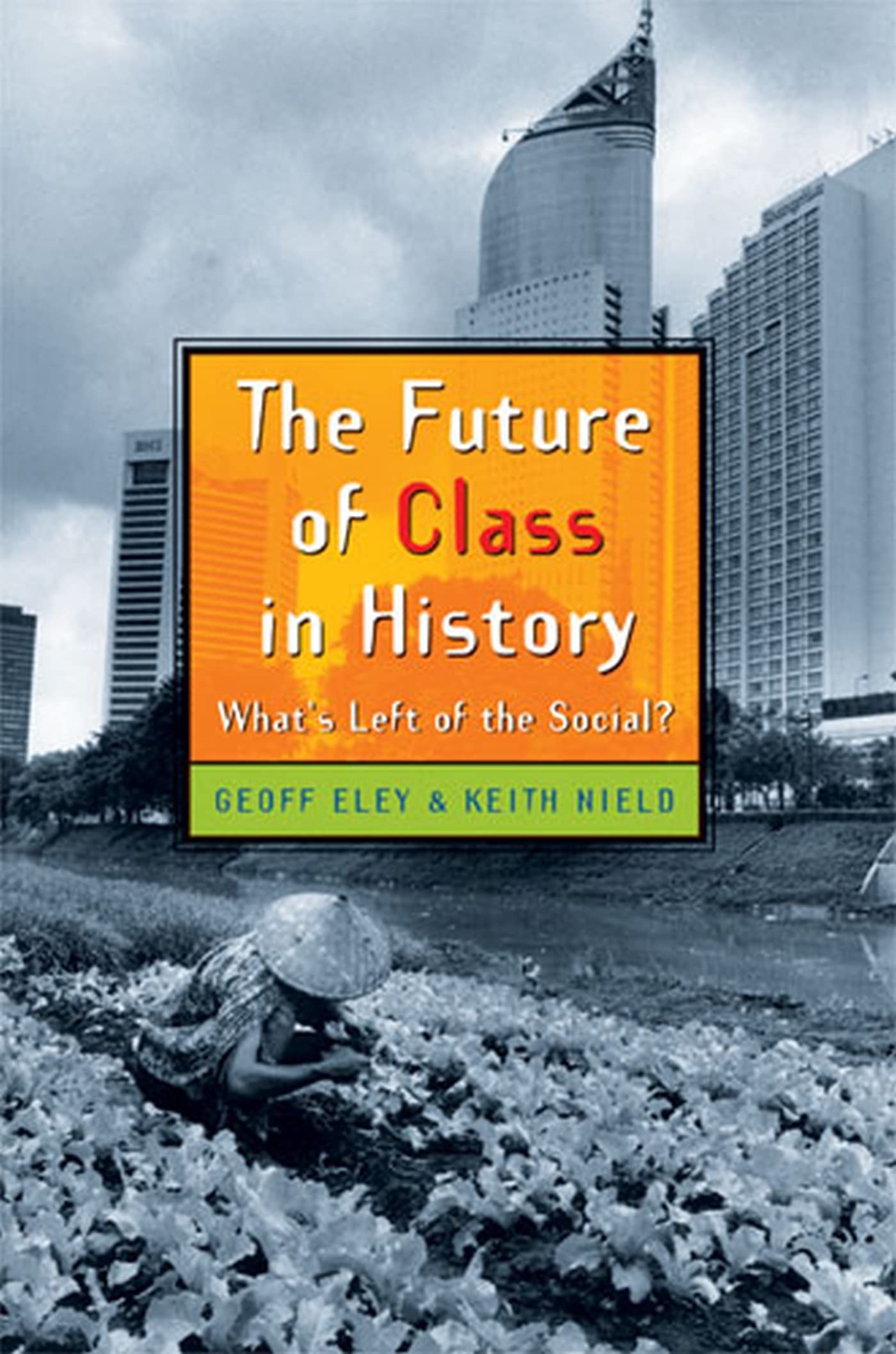 The Future of Class in History: What's Left of the Social? book