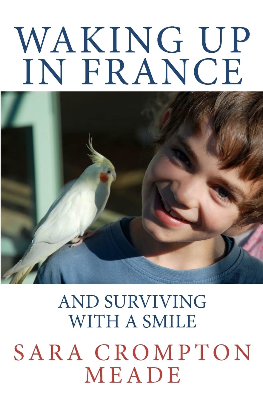 Waking up in France and surviving with a smile Books