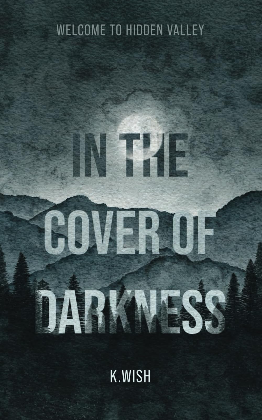 In the Cover of Darkness: Welcome to Hidden Valley Contemporary Romance