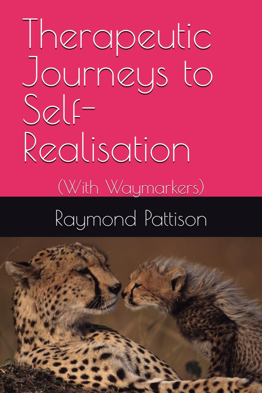 Therapeutic Journeys to Self-Realisation Books