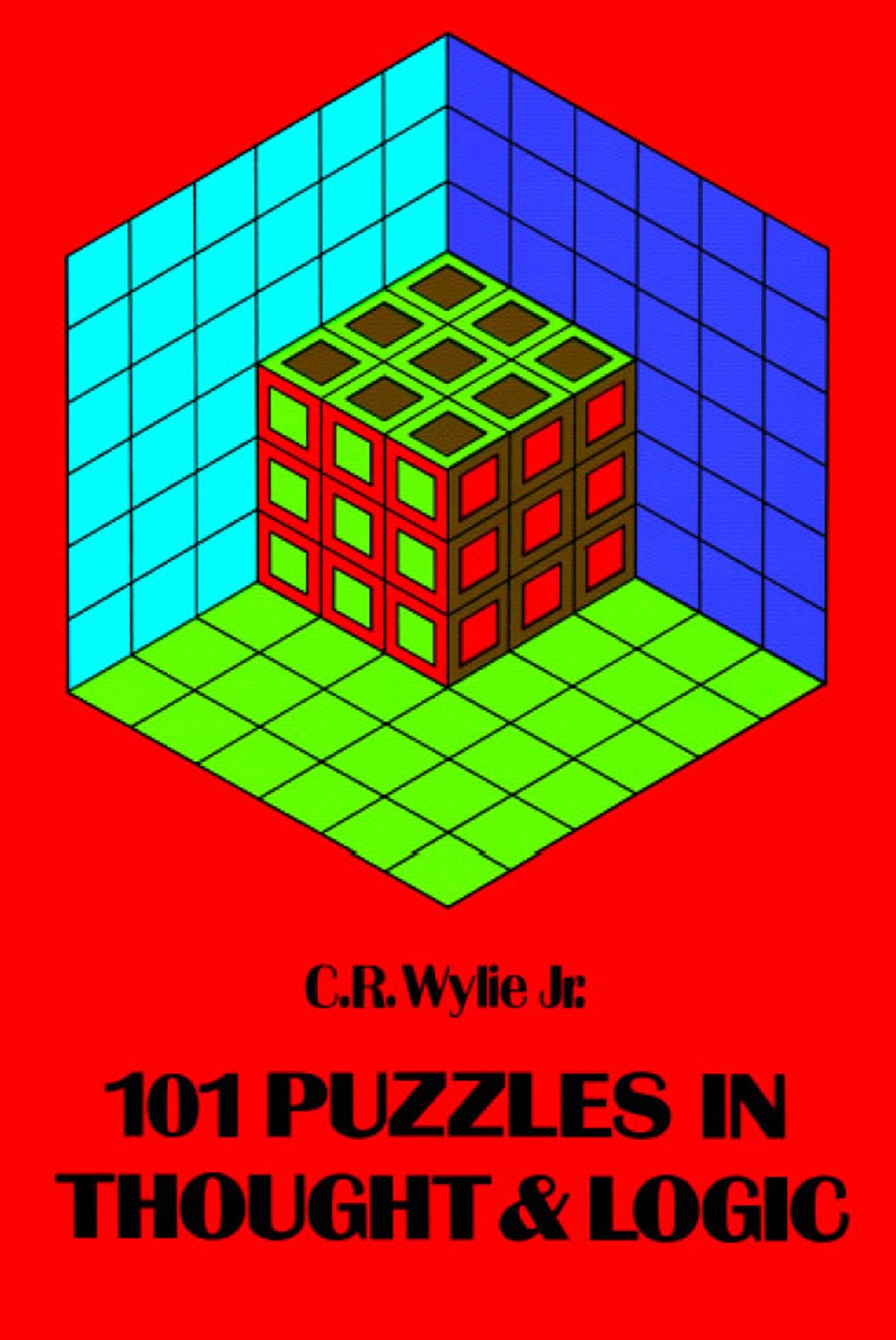 One Hundred One Puzzles in Thought and Logic (Dover Math Games & Puzzles) Leisure & Fun