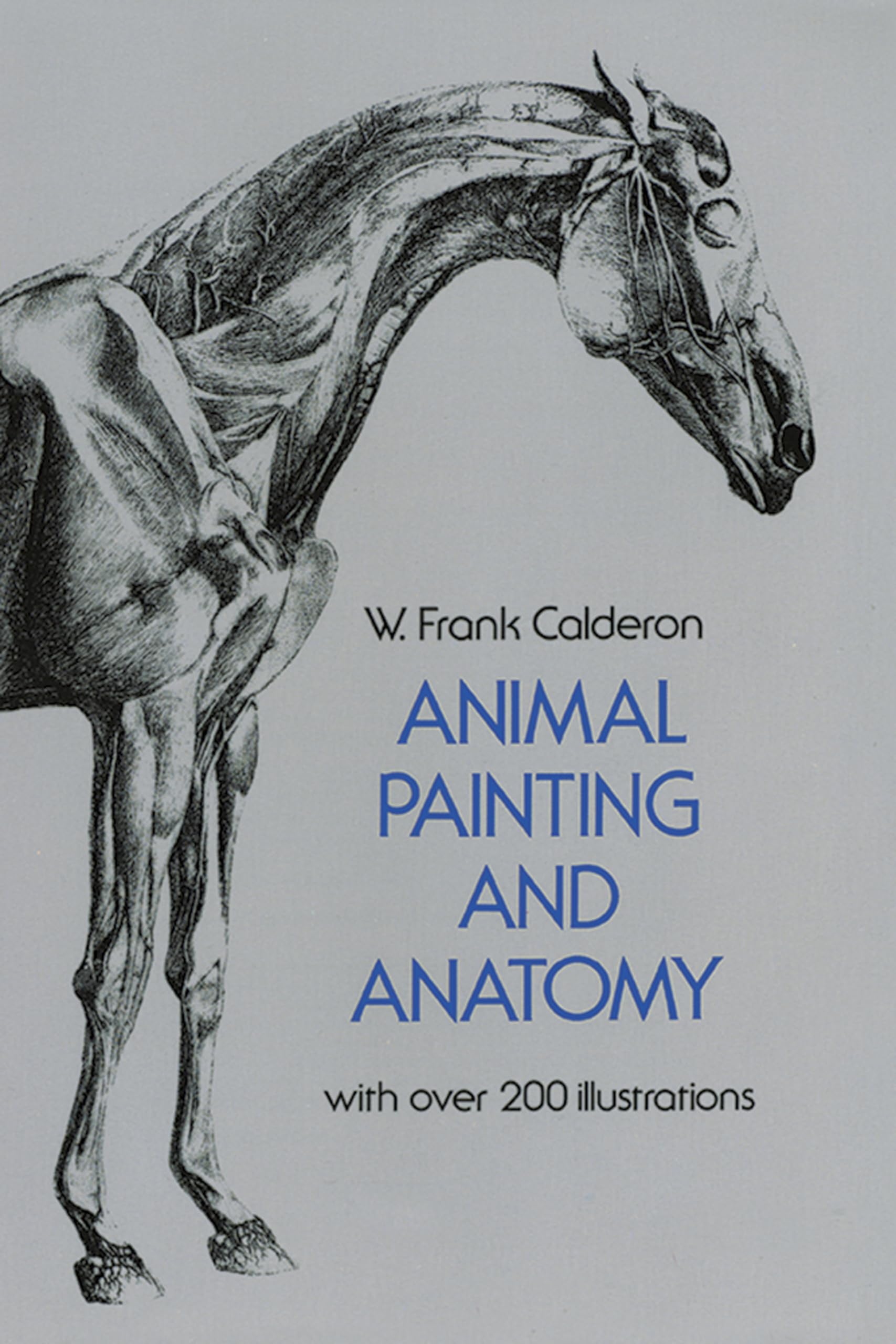 Animal Painting and Anatomy Social Sciences