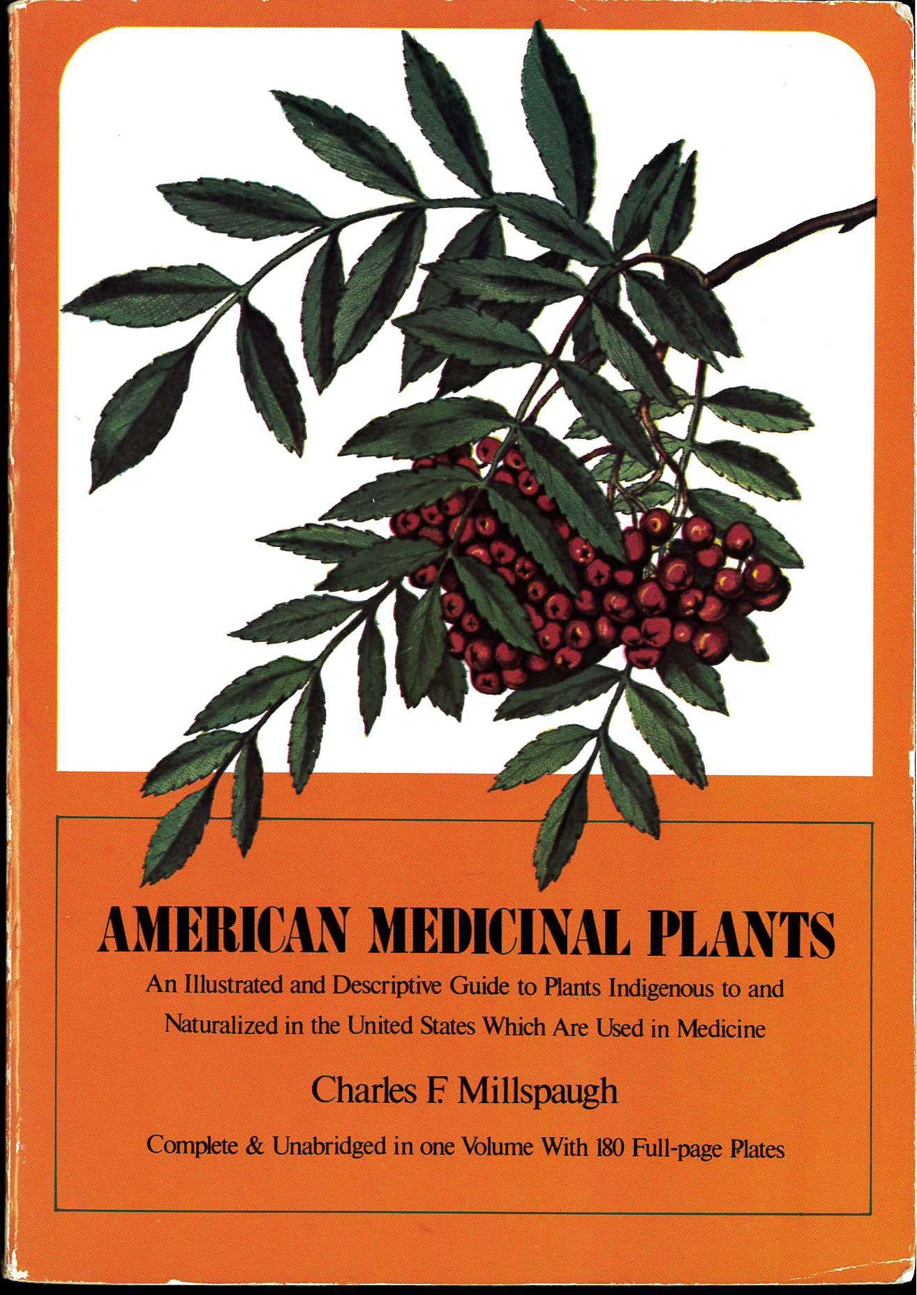 American Medicinal Plants: An Illustrated and Descriptive Guide to Plants Indigenous to and Naturalized in the United States Which Are Used in Medic Medicine