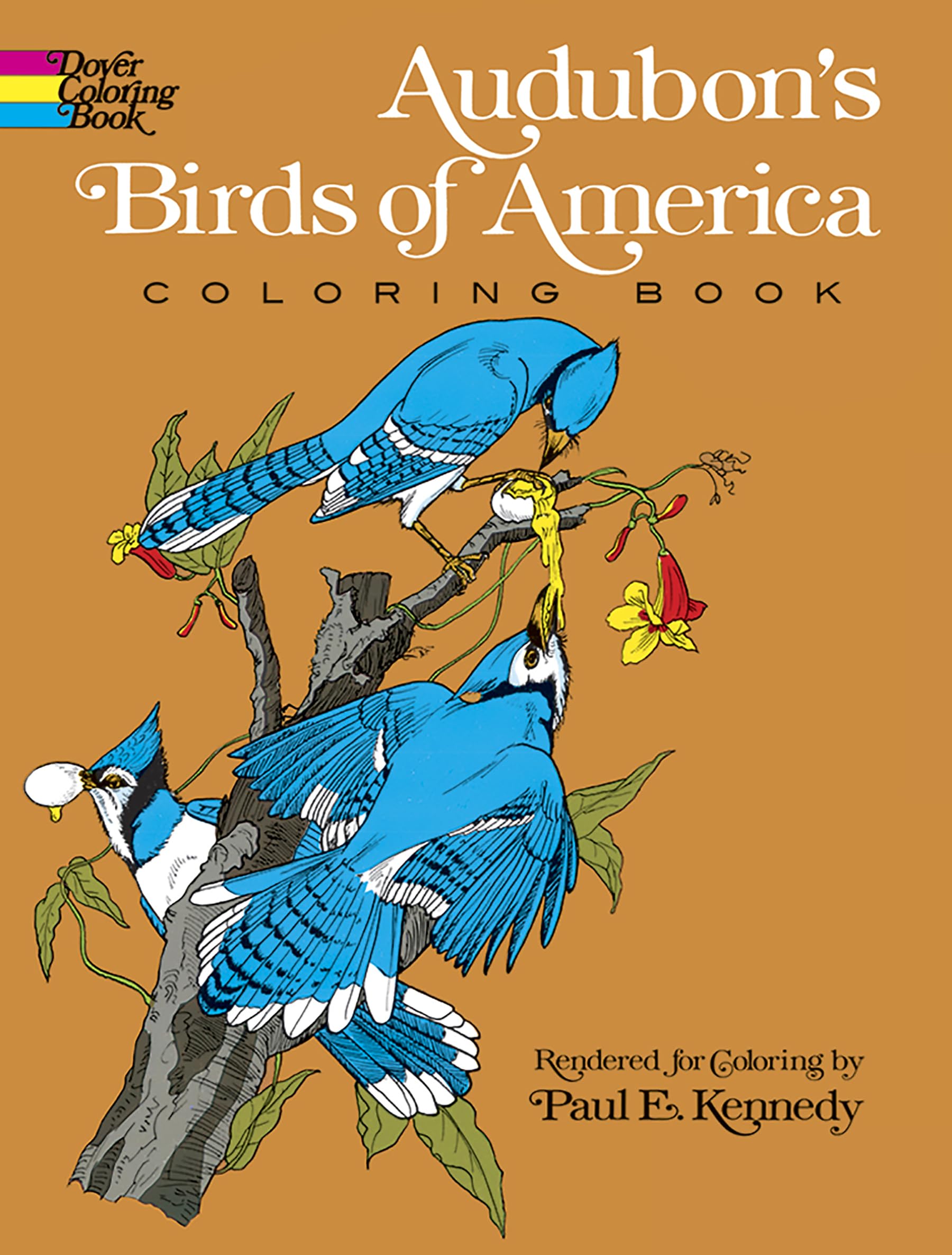 Audubon's Birds of America Coloring Book Tiptoi & Games
