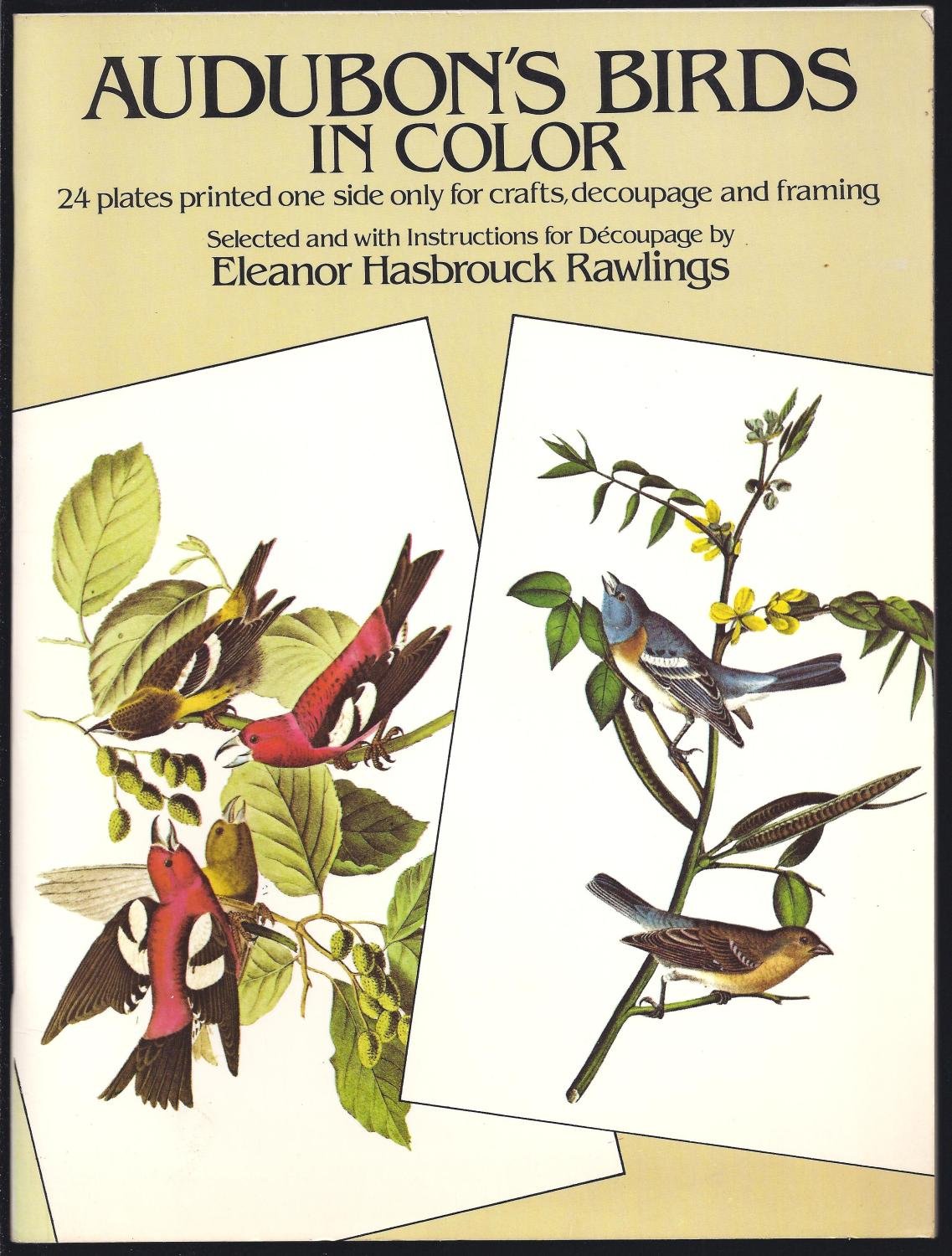 Audubon's Birds in Color: 24 Plates Printed One Side Only for Crafts, Decoupage and Framing book