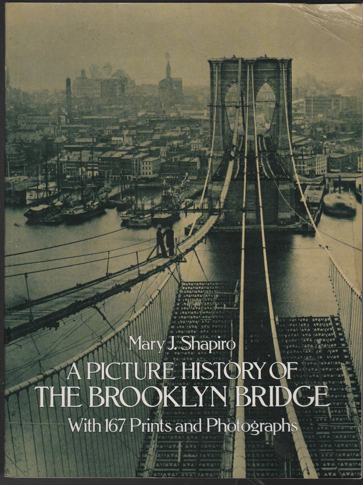 A Picture History of the Brooklyn Bridge: With 167 Prints and Photographs Business & Technology