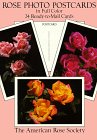 Rose Photo Postcards in Full Color/24 Ready-To-Mail Cards Books