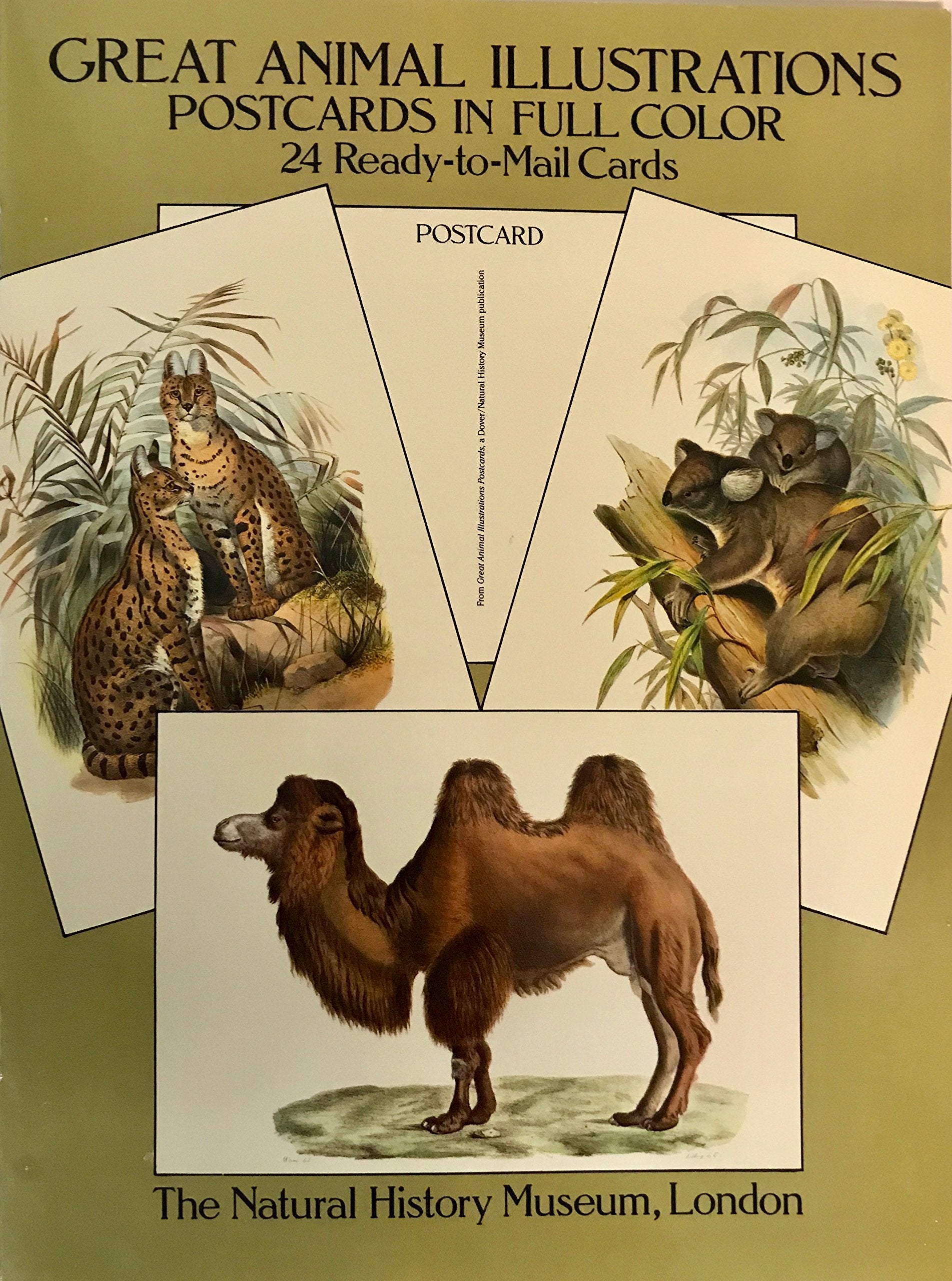 Great Animal Illustrations Postcards in Full Color/24 Ready-To-Mail Cards Books