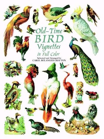 Old-Time Bird Vignettes in Full Color Film, Art & Culture