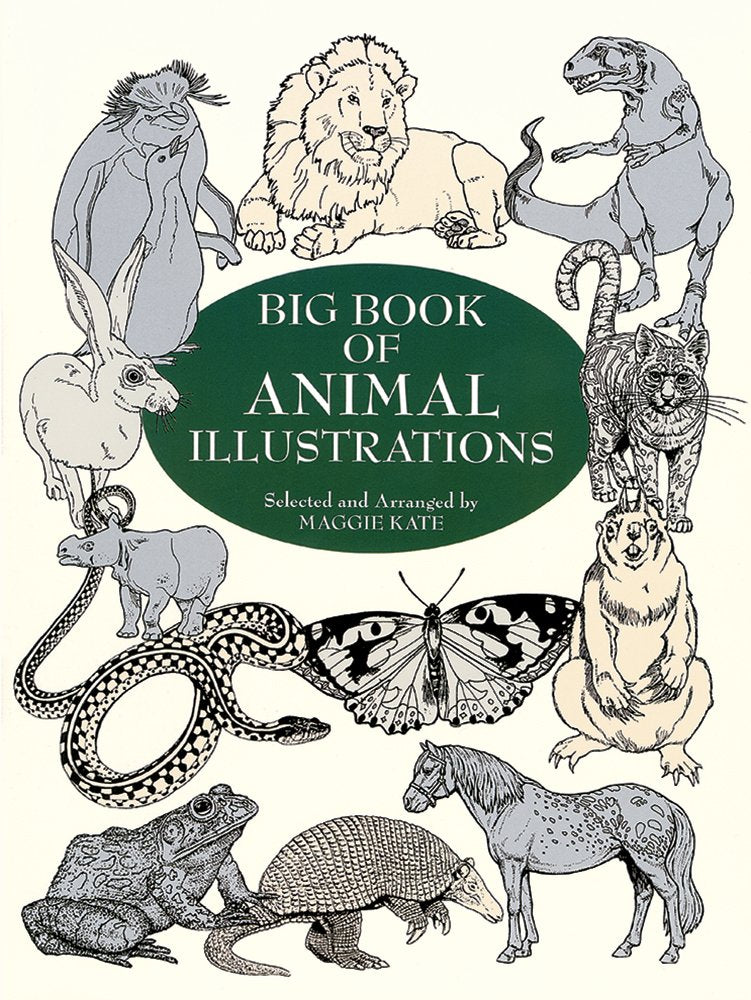 Big Book Animal Illustrations (Dover Pictorial Archive Series) Film, Art & Culture