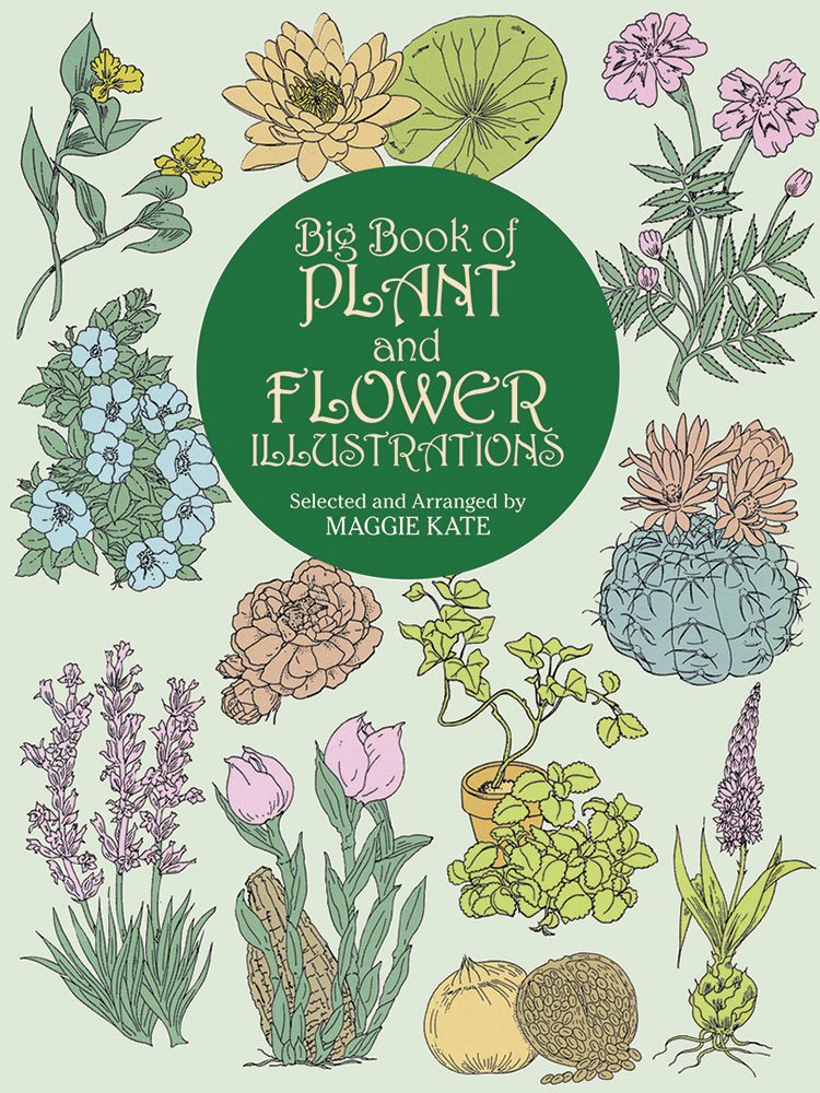 Big Book of Plant and Flower Illustrations (Dover Pictorial Archive) Mathematics