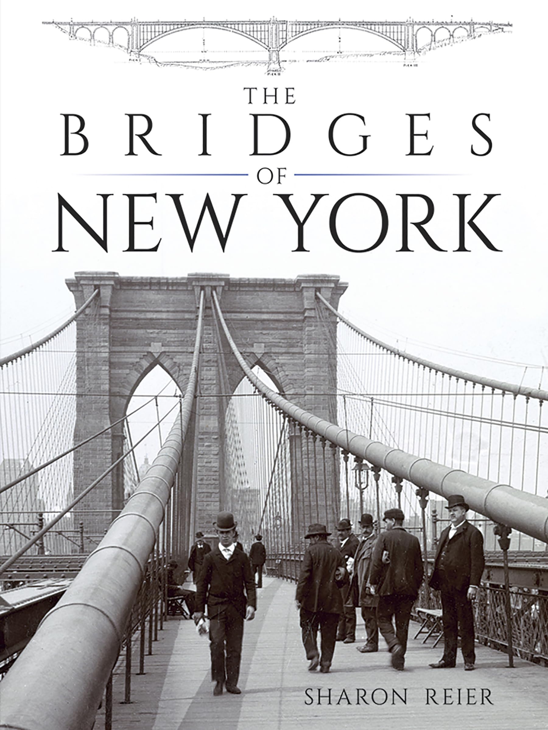 The Bridges of New York book