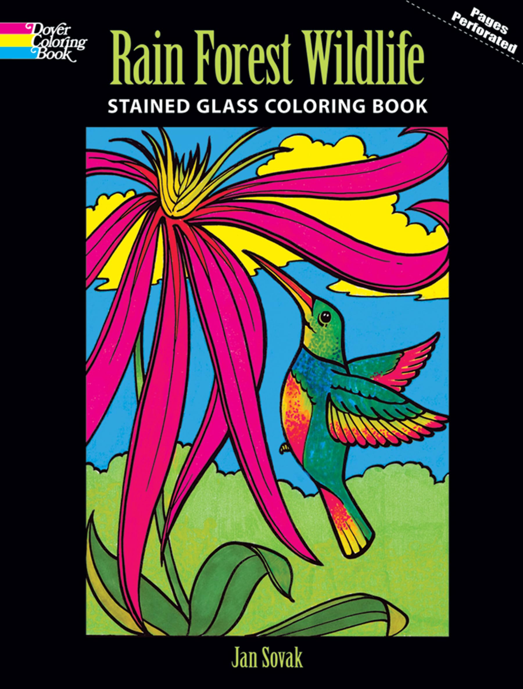 Rain Forest Wildlife Stained Glass Coloring Book (Dover Animal Coloring Books) Hobbies & Crafts