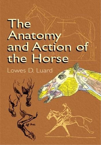 The Anatomy and Action of the Horse (Dover Anatomy for Artists) Film, Art & Culture