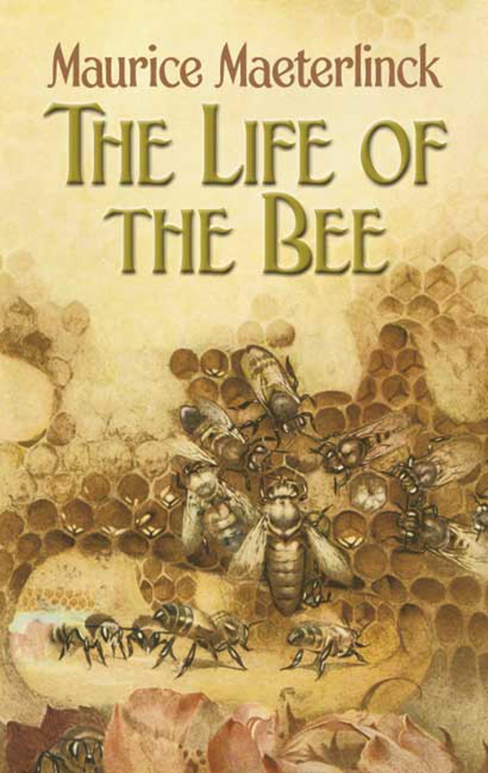 The Life of the Bee Mathematics