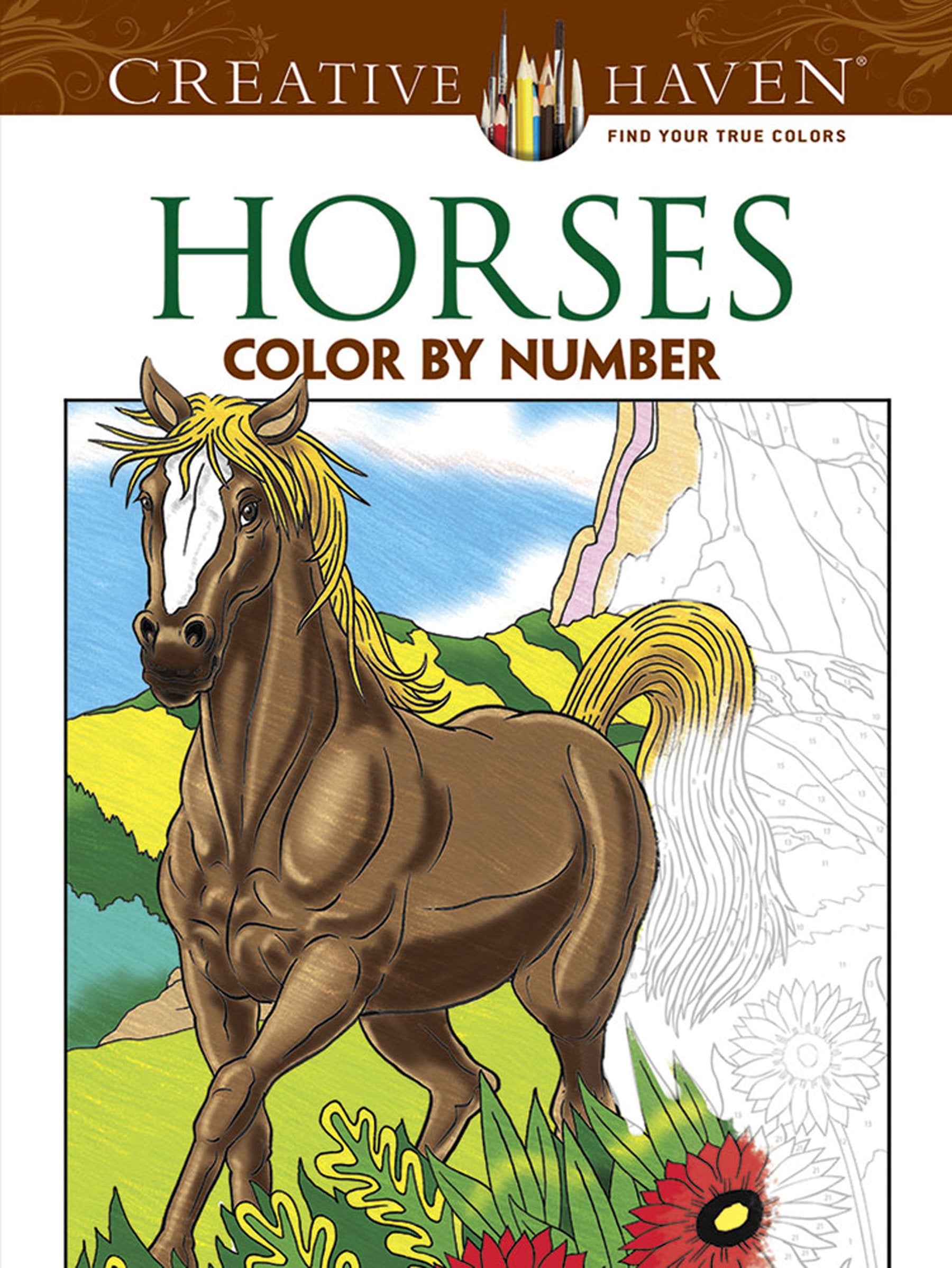 Creative Haven Horses Color By Number Coloring Book Film, Art & Culture