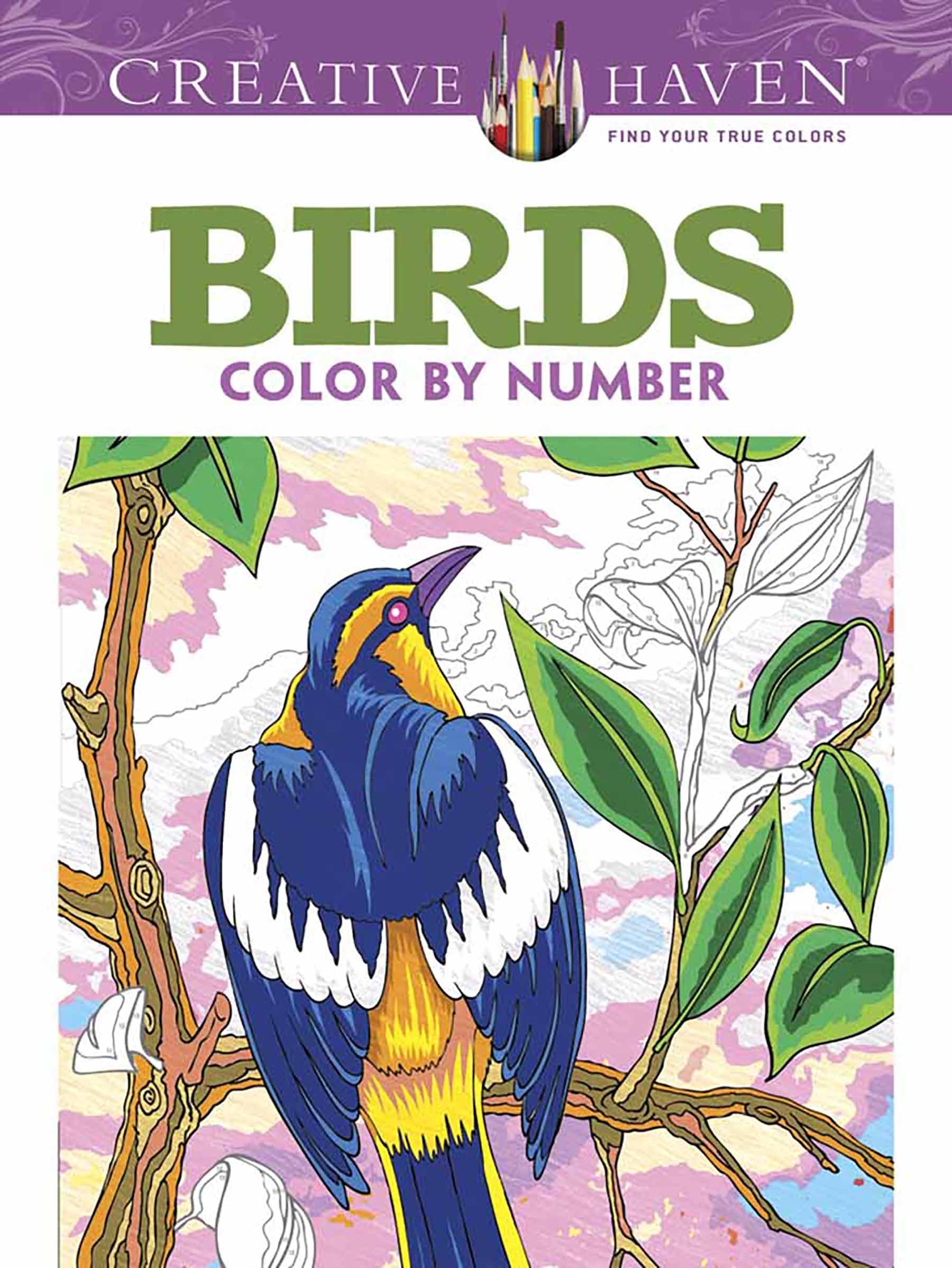 Creative Haven Birds Color by Number Coloring Book book