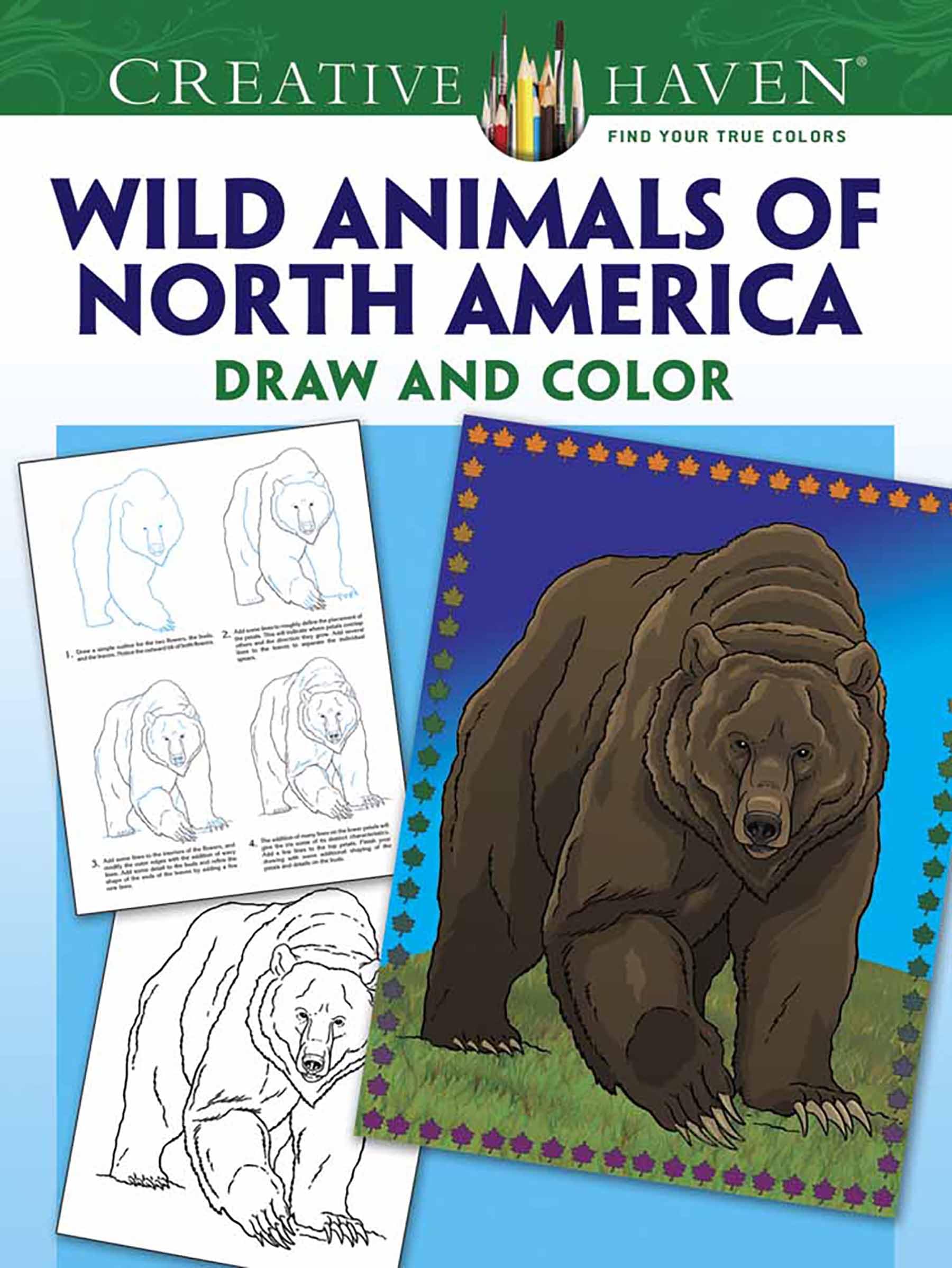 Creative Haven How to Draw Wild Animals of North America Coloring Book Film, Art & Culture