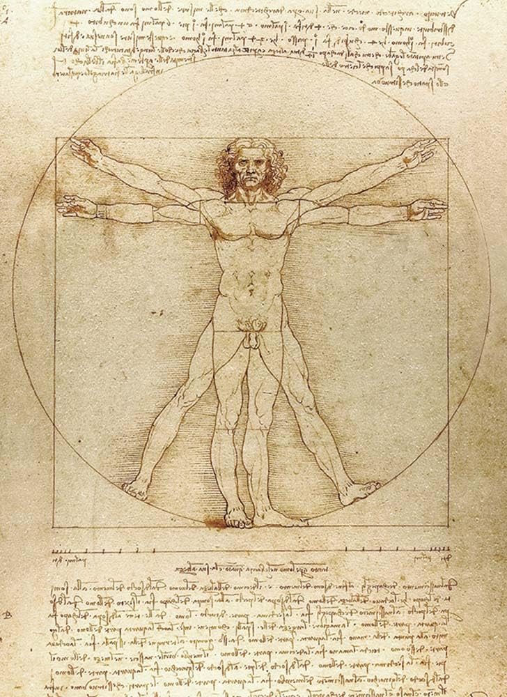 Vitruvian Man Notebook Social Sciences