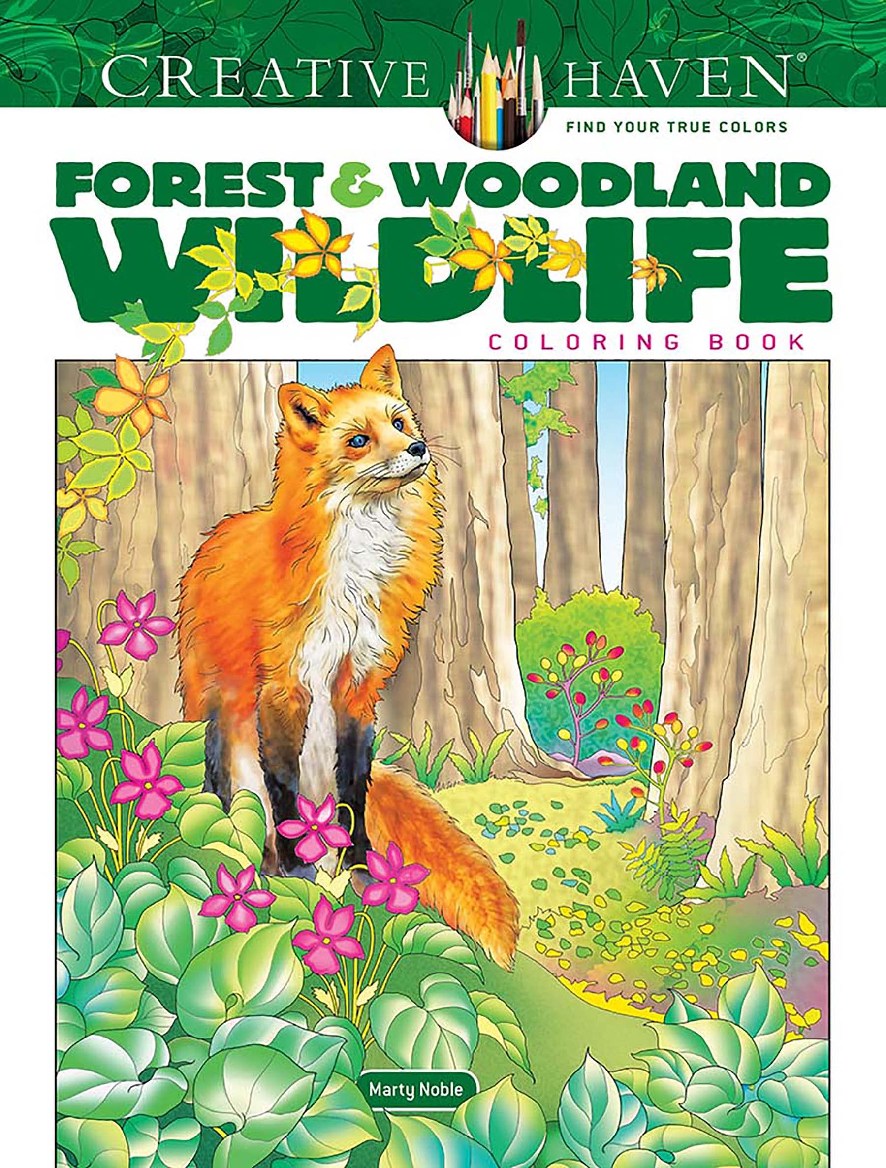 Creative Haven Forest & Woodland Wildlife Coloring Book (Adult Coloring Books: Animals) Geology & Geography