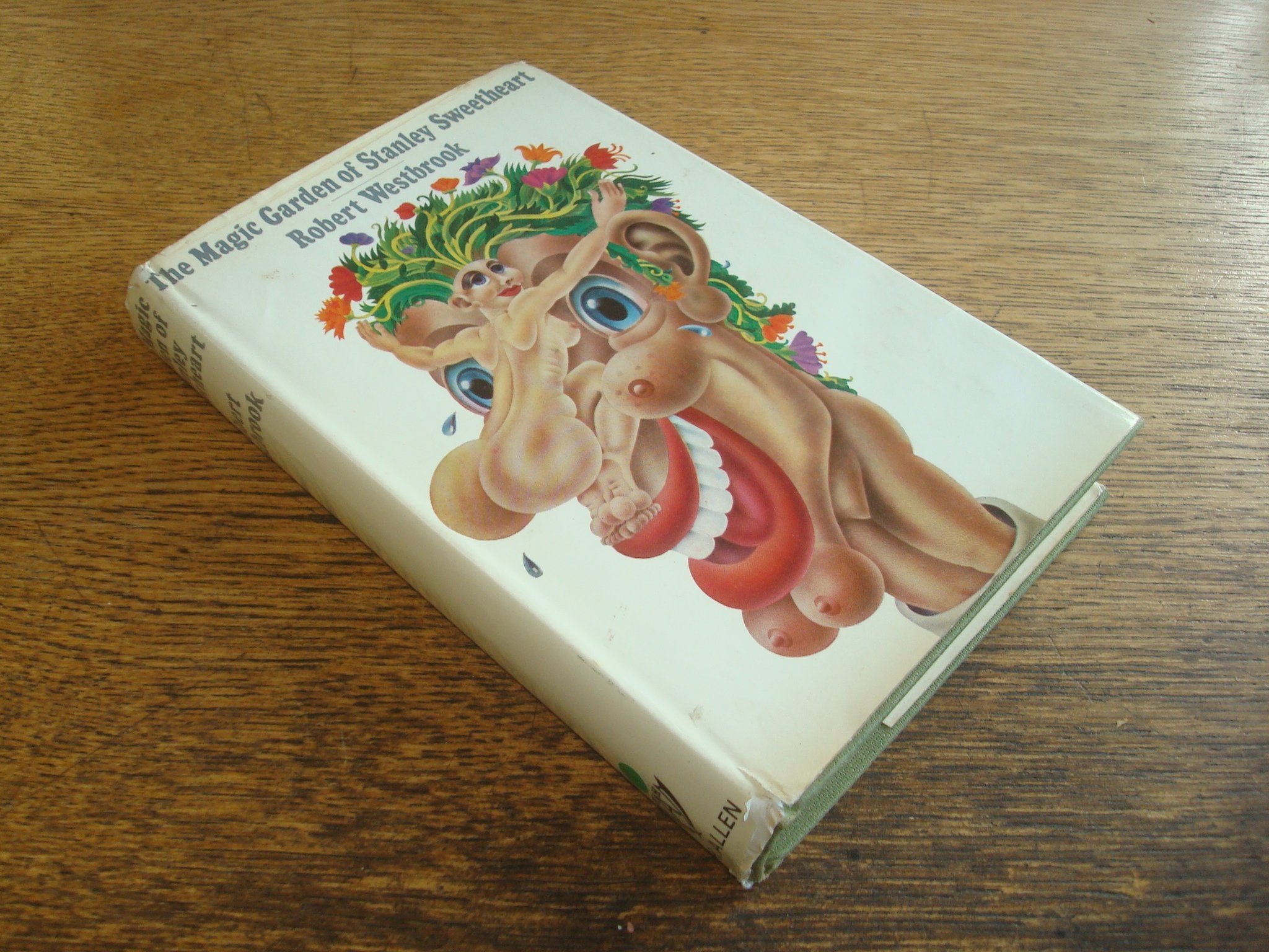 Magic Garden of Stanley Sweetheart Books