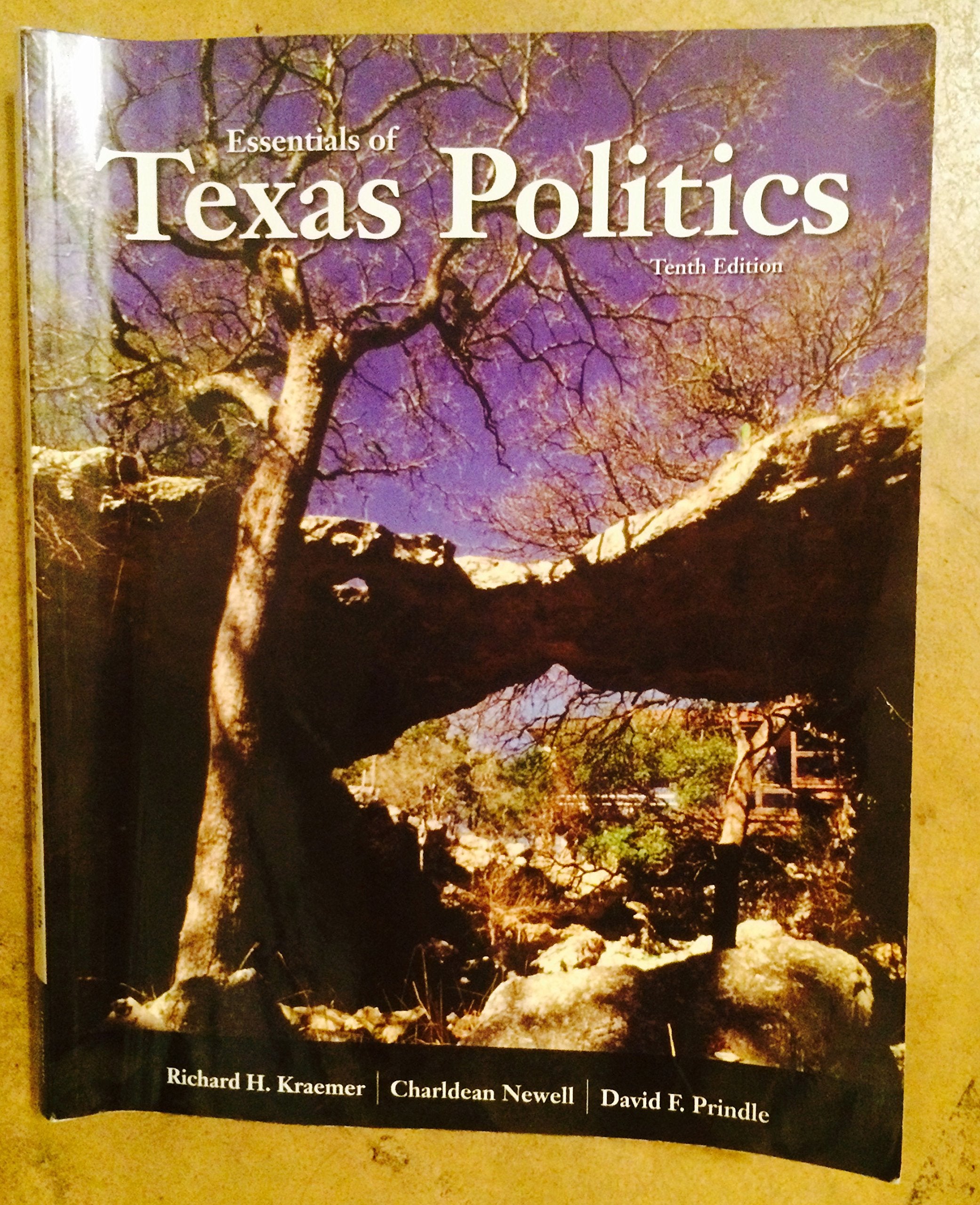 Essentials of Texas Politics Social Sciences