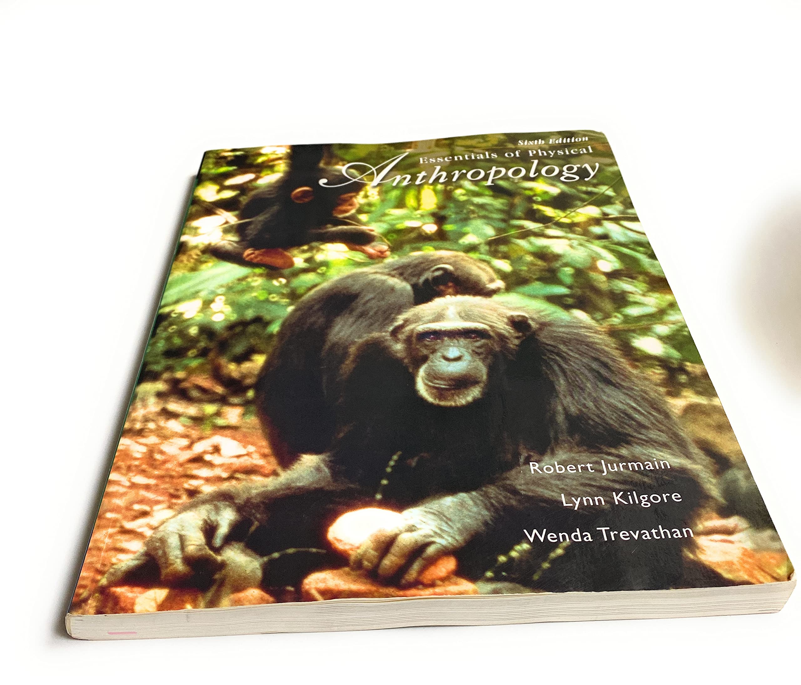 Essentials Of Physical Anthropology with Infotrac Social Sciences