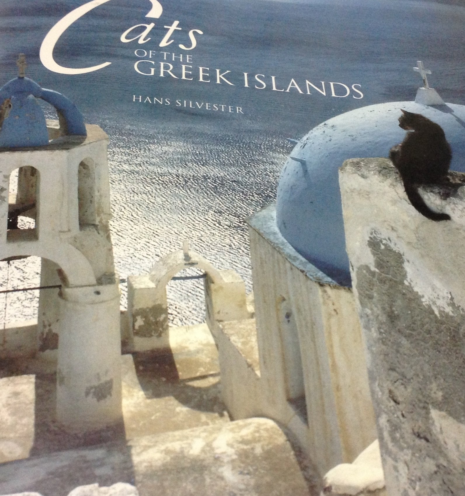 Cats of the Greek Islands Travel