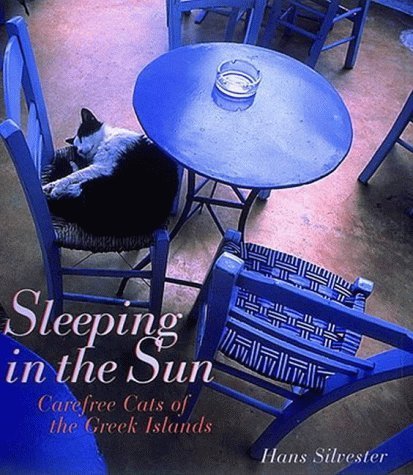 Sleeping in the Sun: Carefree Cats of the Greek Islands Travel
