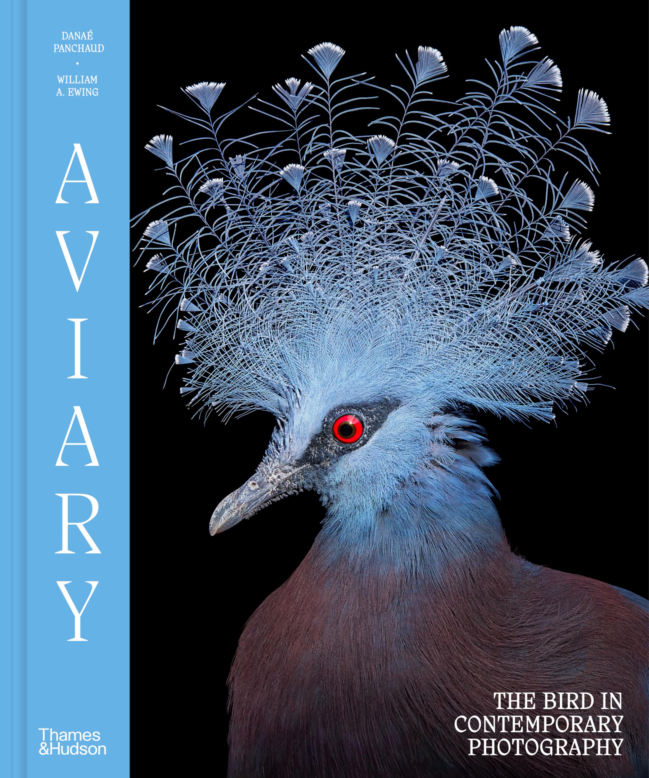 Aviary: The Bird in Contemporary Photography Mathematics