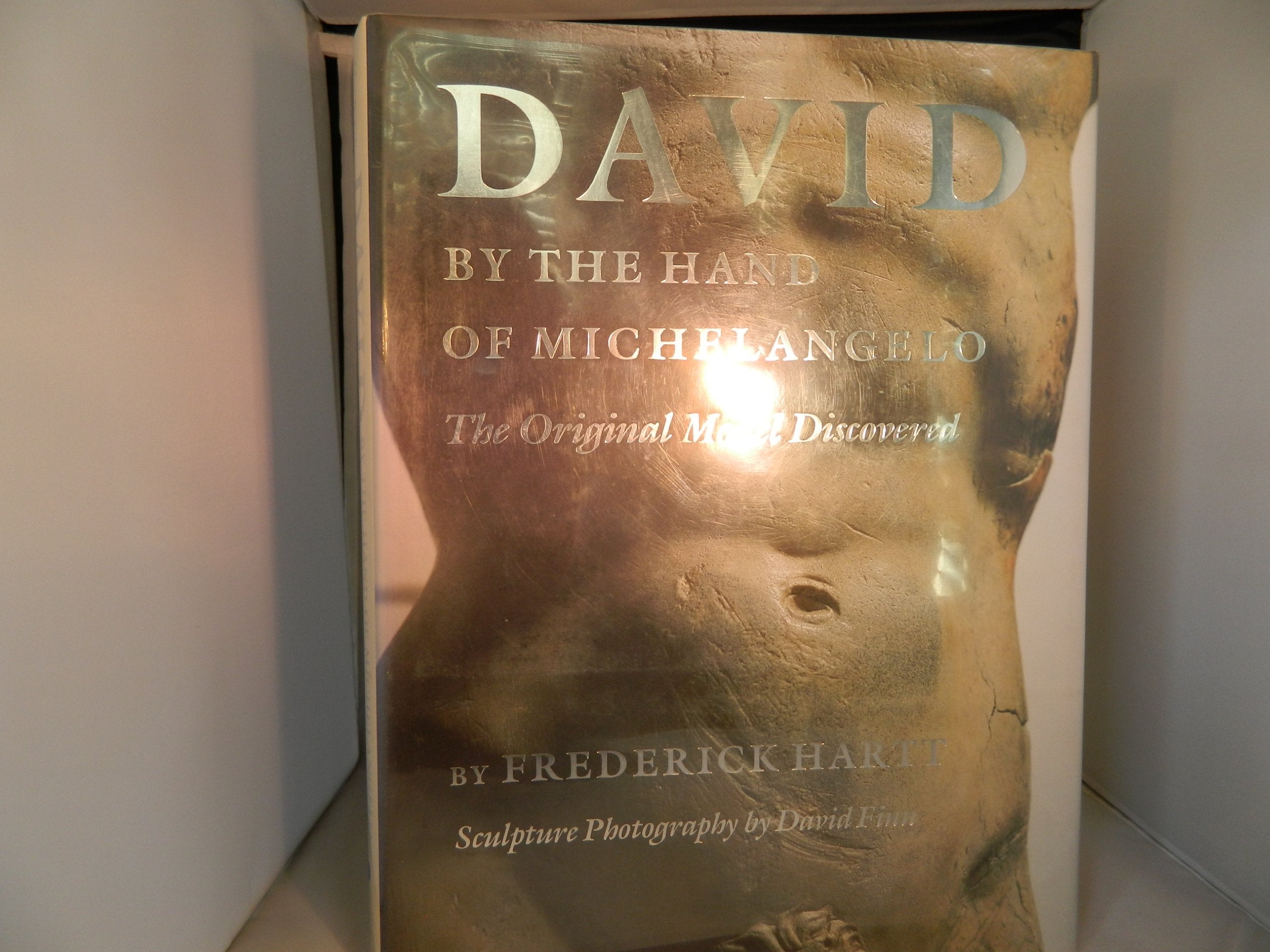 David by the Hand of Michelangelo: The Original Model Discovered Books