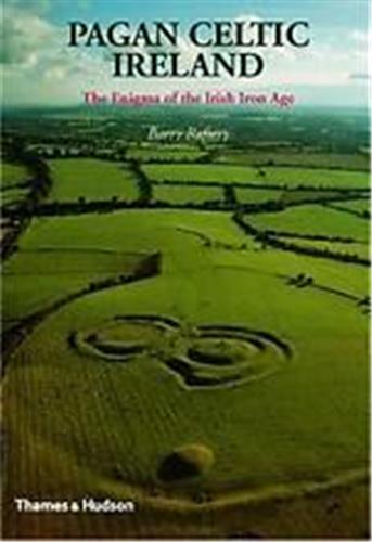 Pagan Celtic Ireland The Enigma of the Irish Iron Age Social Sciences
