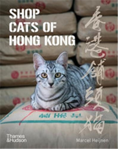 Shop Cats of Hong Kong Film, Art & Culture