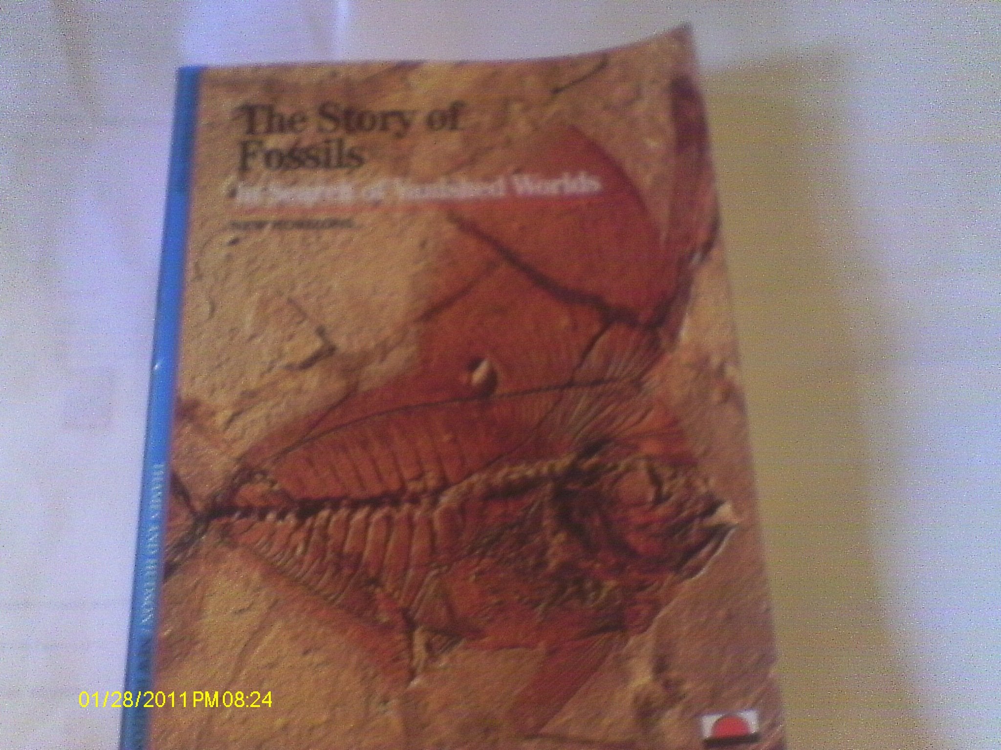 Story of Fossils, The:In Search of Vanished Worlds: In Search of Vanished Worlds Mathematics