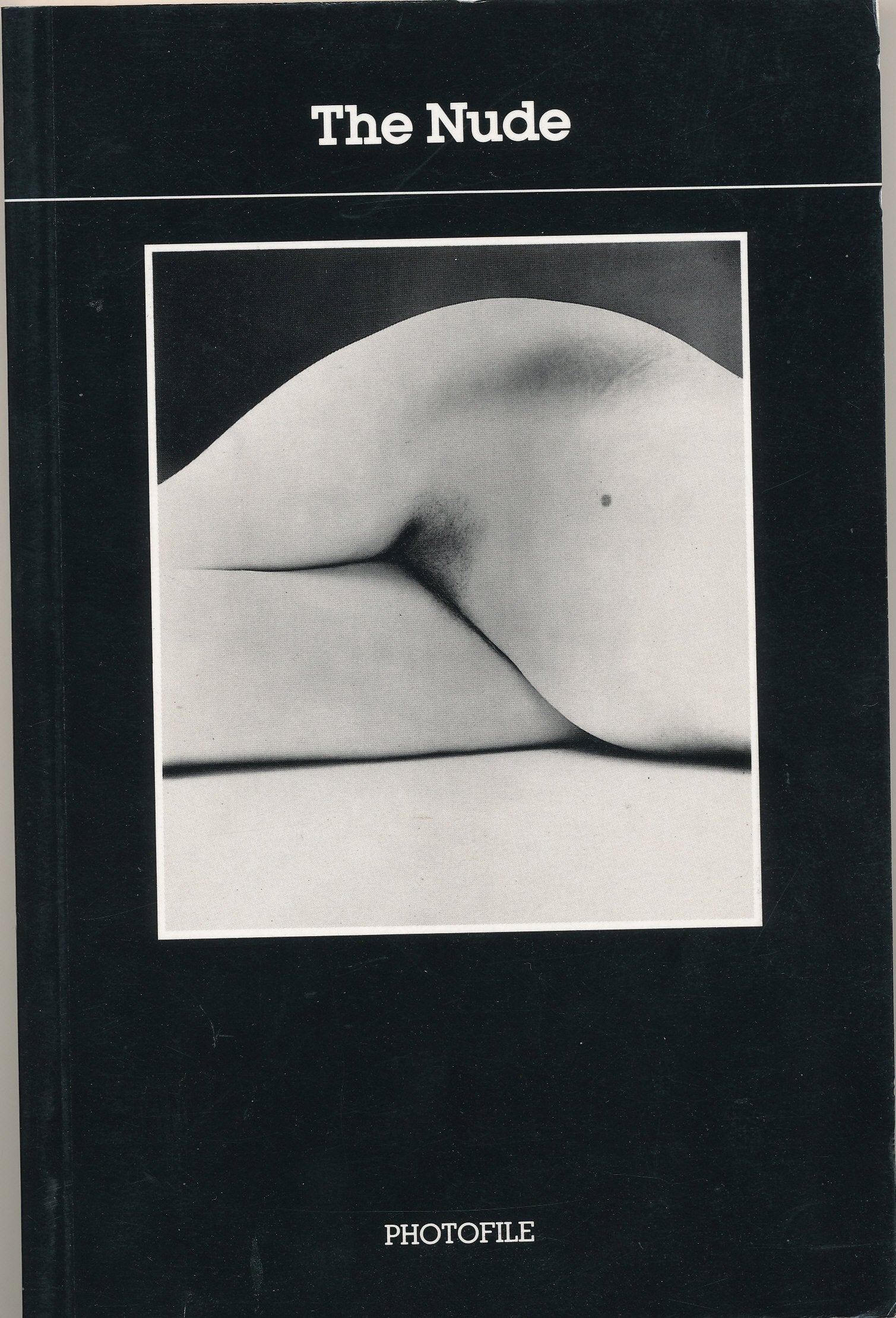 The Nude (Photofile) Photography