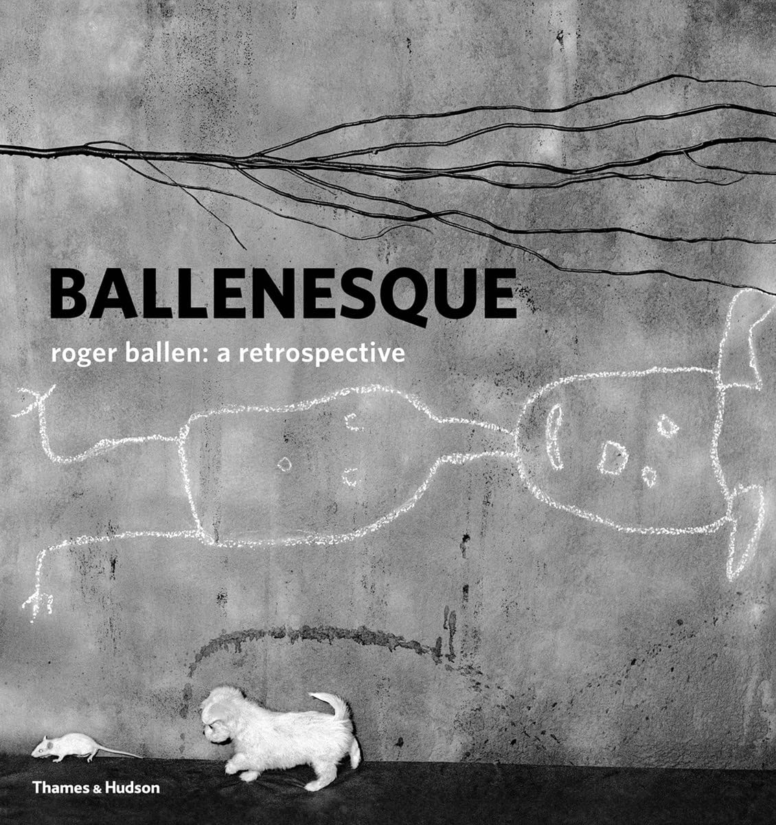 Ballenesque: Roger Ballen: A Retrospective Travel