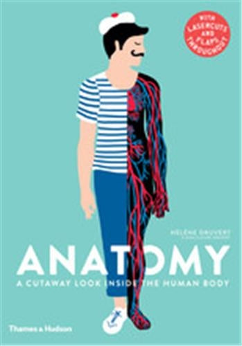 Anatomy : A Cutaway Look Inside the Human Body Film, Art & Culture