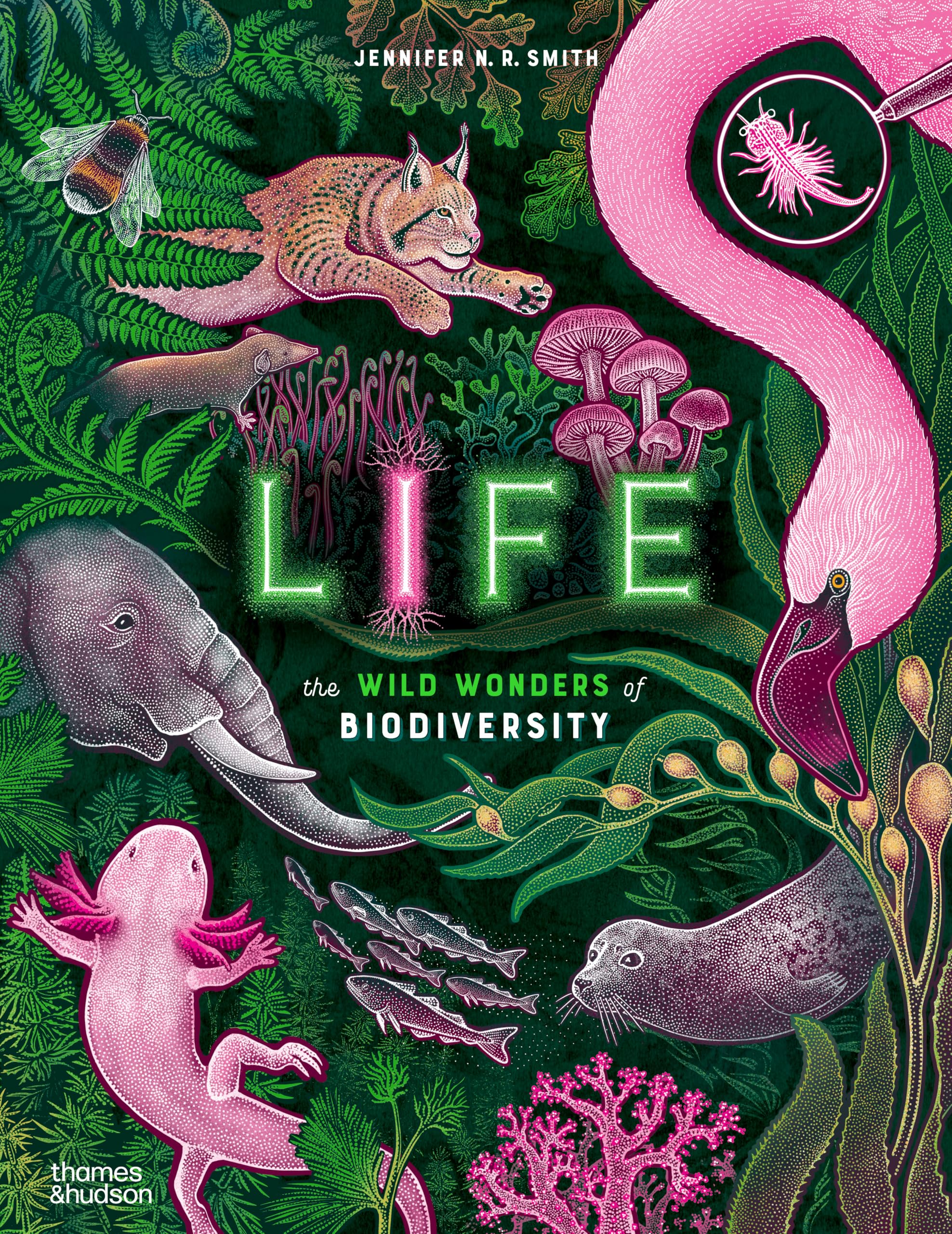 Life: The Wild Wonders of Biodiversity (Wild Wonders, 3, Band 3) Film, Art & Culture