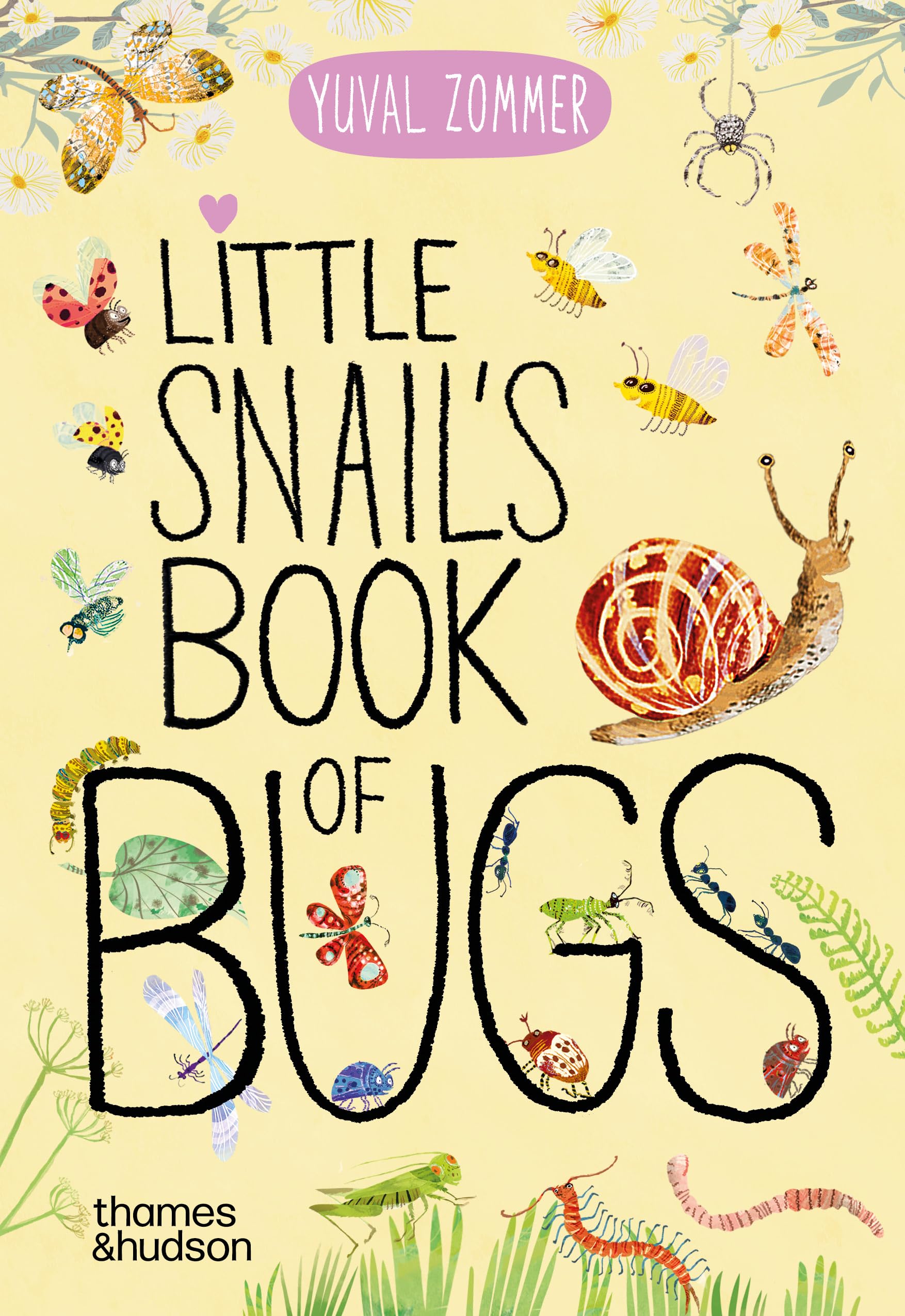 Little Snail's Book of Bugs (Big Books) Film, Art & Culture