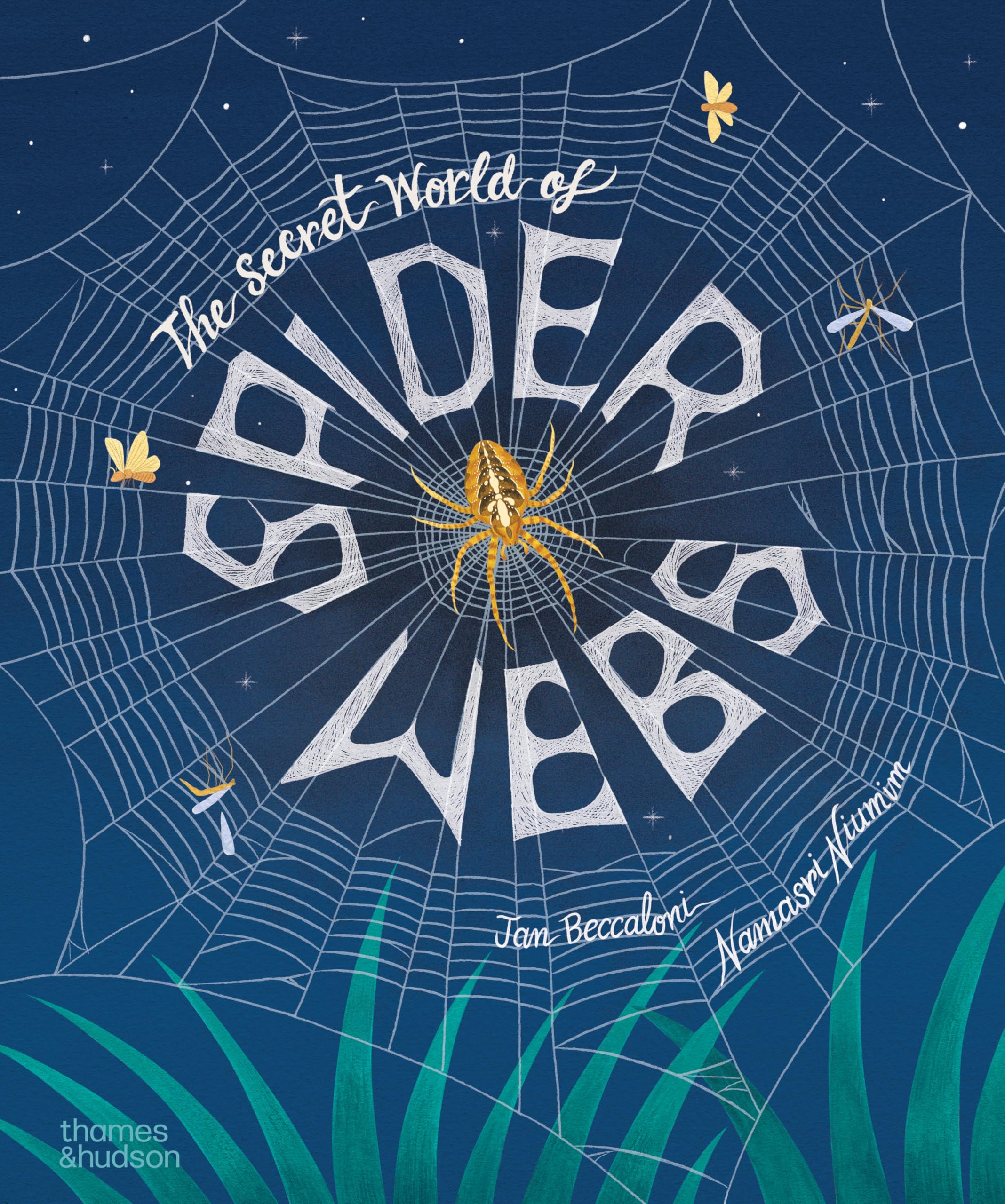 The Secret World of Spiderwebs Film, Art & Culture
