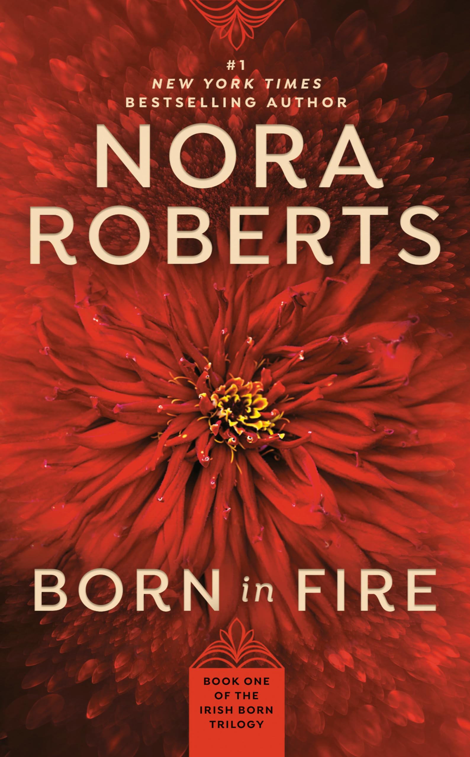 Born in Fire Contemporary literature Books