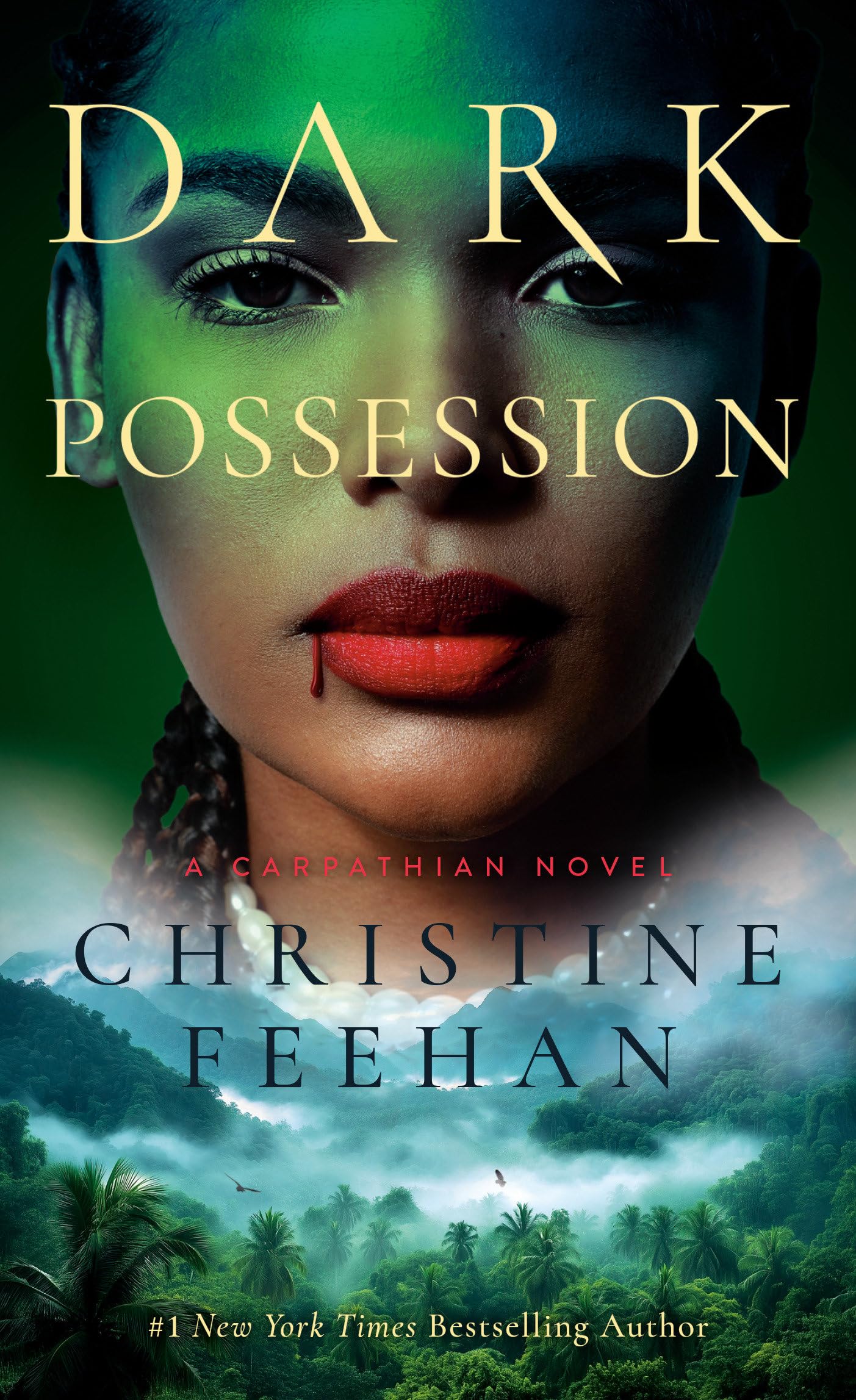 Dark Possession Contemporary literature Books