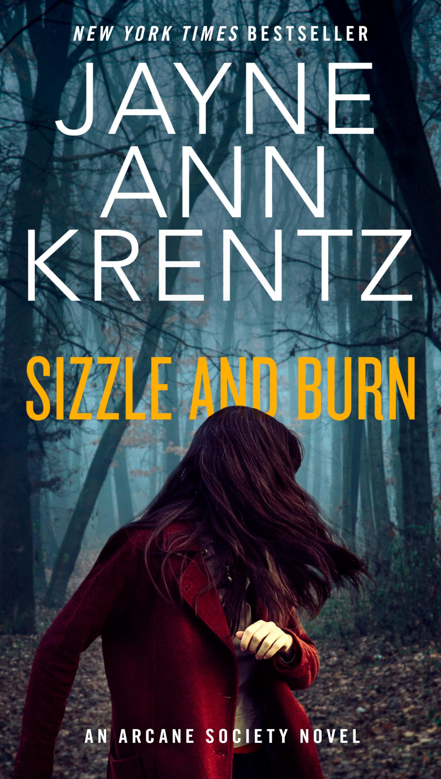 Sizzle and Burn Contemporary literature Books