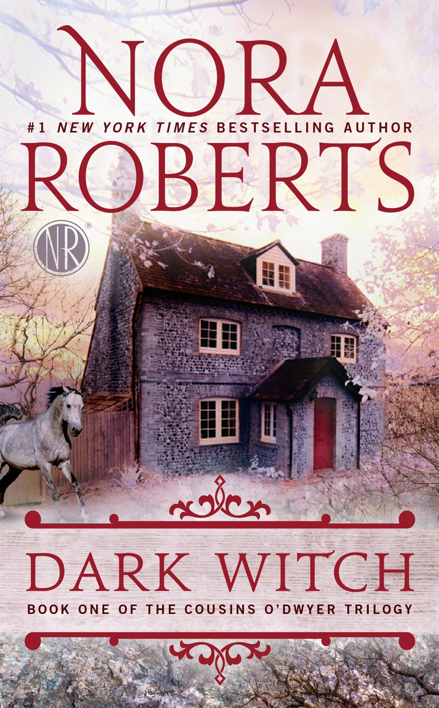 Dark Witch (The Cousins O'Dwyer Trilogy, Band 1) Contemporary literature