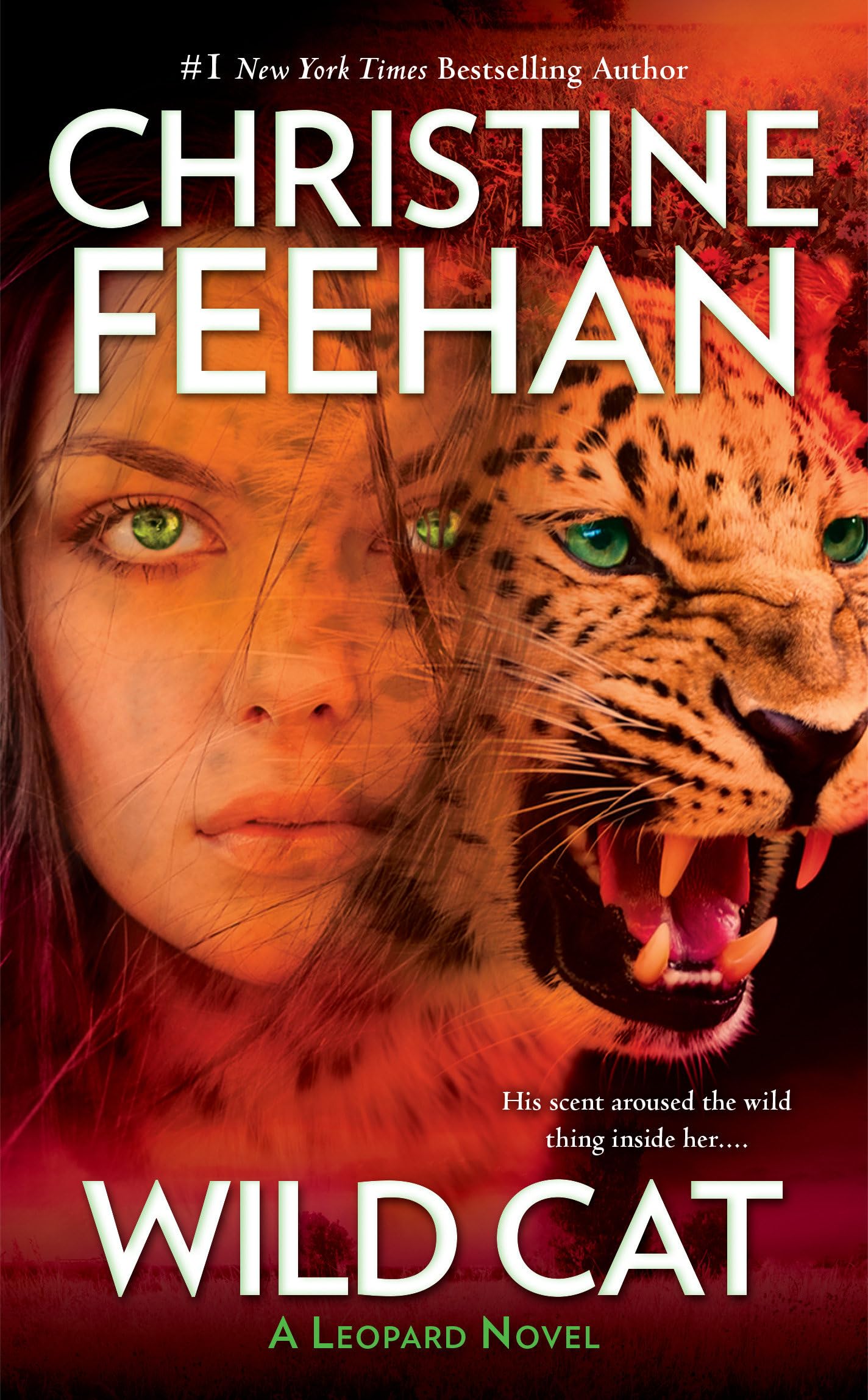 Product Image: Wild Cat